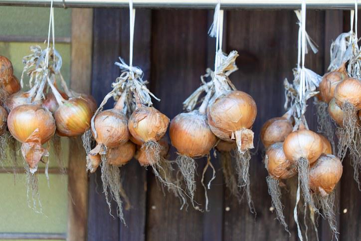 onions-greek onions-greek