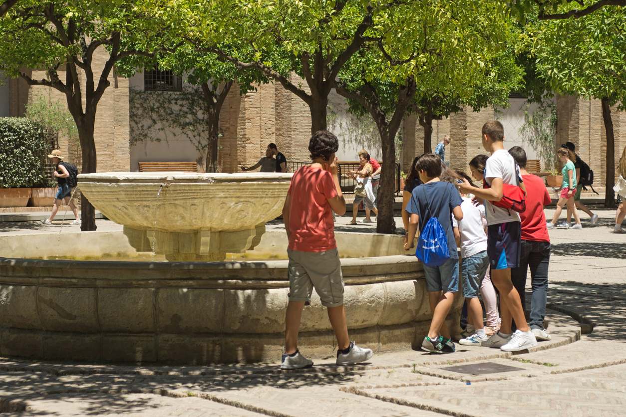 seville cathedral orangery seville cathedral orangery