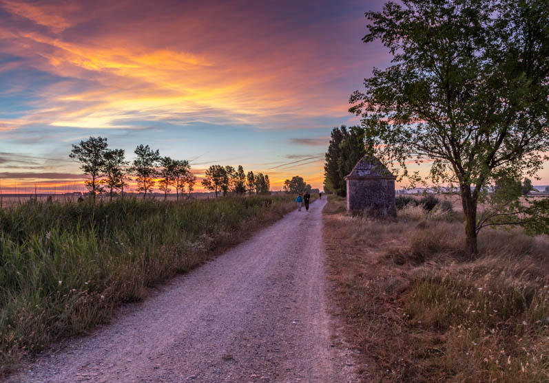 The Routes The Routes