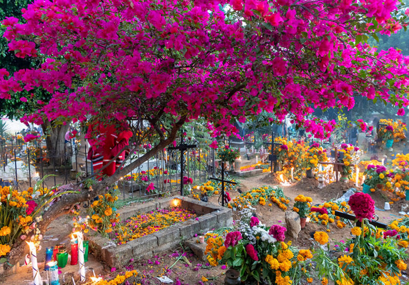 When does Day of the Dead take place? When does Day of the Dead take place?