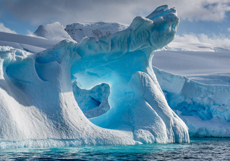 Antarctica Antarctica