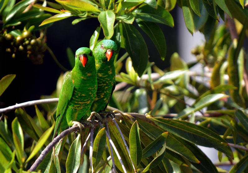 Cape York Peninsula, Australia Cape York Peninsula, Australia