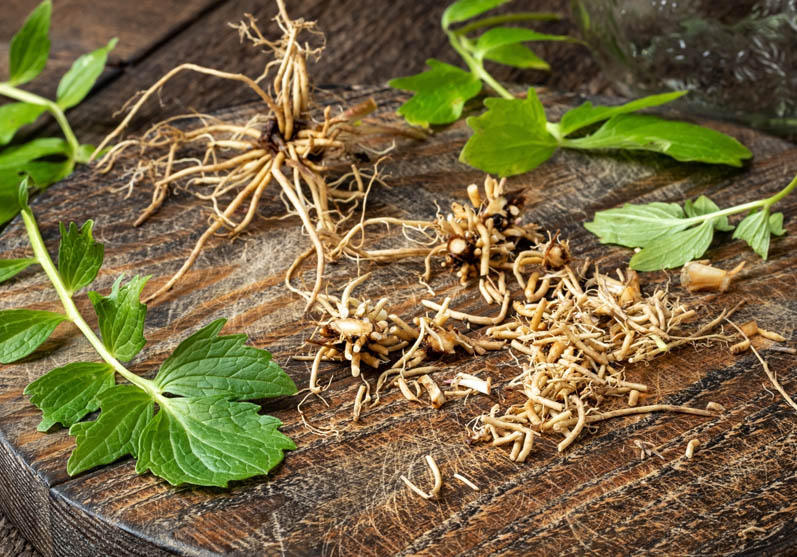 Herbal Supplements as sleeping aids Herbal Supplements as sleeping aids