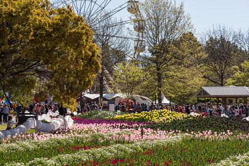 floriade canberra