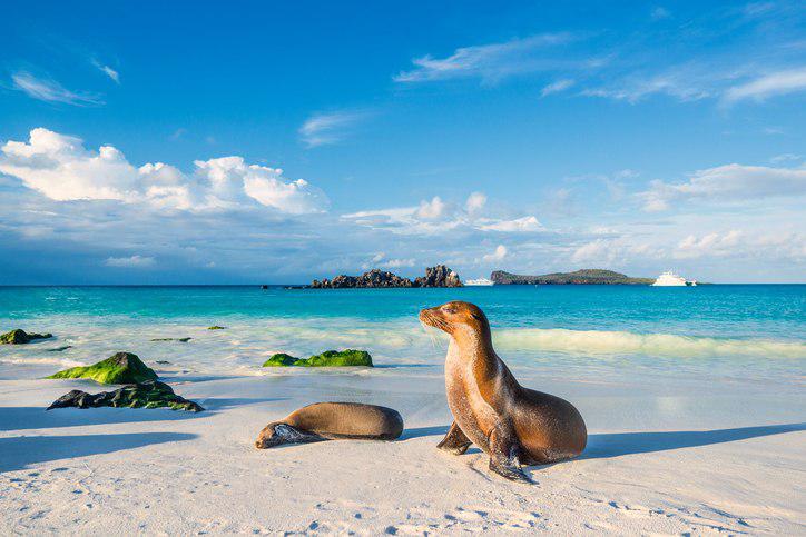 galapagos-islands