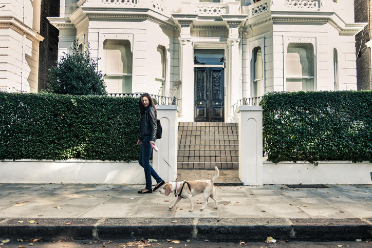 Dog outside white mansions Dog outside white mansions